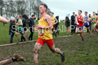 Senior boys 2019 New Balance English Schools Cross Country Champs, Temple Newsam, Leeds. Photo:  David T. Hewitson/Sports for All Pics